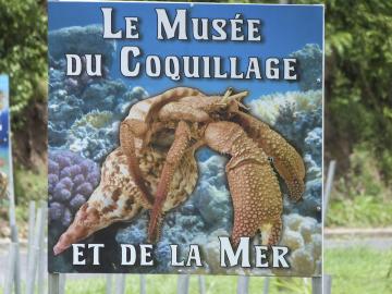 Le musée du coquillage se trouve sur les hauteurs du Diamant, sur la route des Anses d'Arlet.