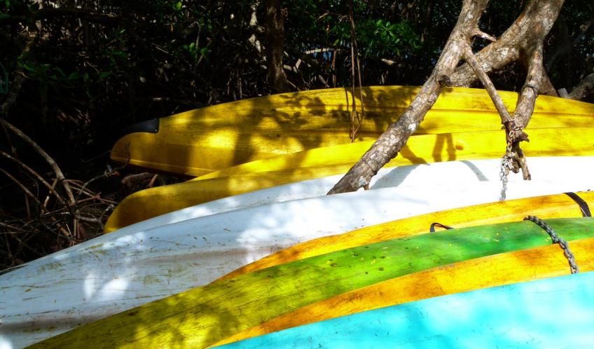 Vatable. Vous pouvez venir visiter la mangrove en kayak, n'hésitez pas.